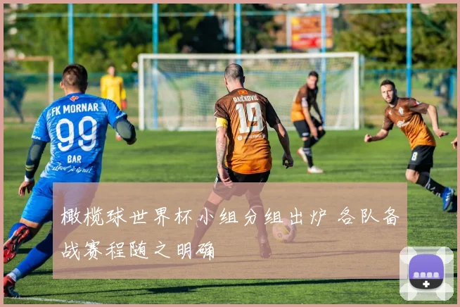 橄榄球世界杯小组分组出炉 各队备战赛程随之明确