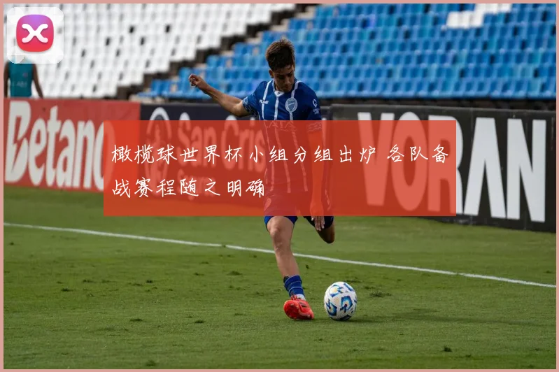 橄榄球世界杯小组分组出炉 各队备战赛程随之明确