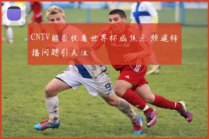 CNTV能否收看世界杯成焦点 频道转播问题引关注